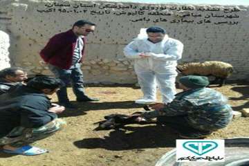 دومین آلبوم تصاویرطرح تشدید نوروز95اداره کل دامپزشکی استان سمنان