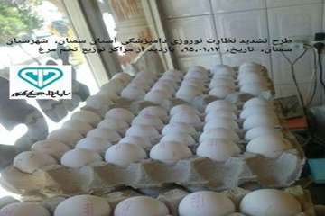 سومین  آلبوم تصاویرطرح تشدید نوروز95اداره کل دامپزشکی استان سمنان