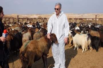 مصاحبه تلویزیونی دکتر سعیدی مدیر کل محترم دامپزشکی استان سمنان در خصوص هشدار هوای سرد