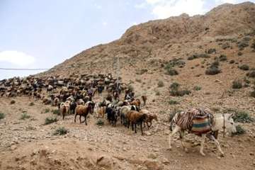 عشایراستان سمنان (ایل سنگسر)