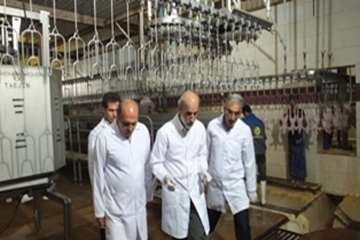 بازدید سرزده ریاست دامپزشکی کشوراز کشتارگاههای استان سمنان خرداد94