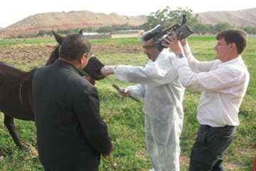 مصاحبه مدیر کل دامپزشکی استان سمنان در خصوص تست مشمشه