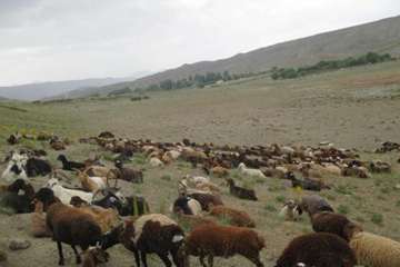 عشایراستان سمنان (ایل سنگسر)