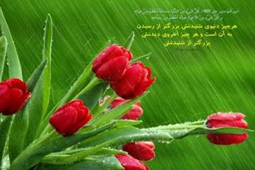سلامت روح