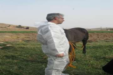 مصاحبه مدیر کل دامپزشکی استان سمنان در خصوص تست مشمشه