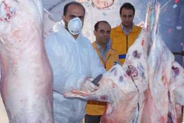 بازدیدازاکیپ های ثابت وسیار شهرستانهای سمنان ،مهدشهروسرخه طرح تشدید عید قربان 10شهریور 96