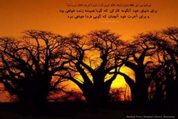 سلامت روح