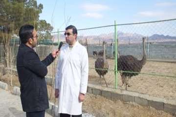 گزارش مستندآموزشی طیور بومی برنامه درشب صداوسینا ی سمنان 4بهمن 95 