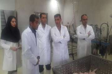 بازدید دکتر حسینی مدیر کل محترم دامپزشکی استان سمنان ازبسته بندی مرغ رستمی (زرین تاچ)شهرستان دامغان 