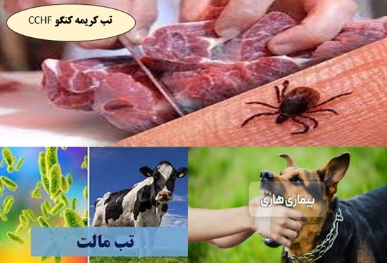 جهت دانلود کامل اینجا کلیک کنید 