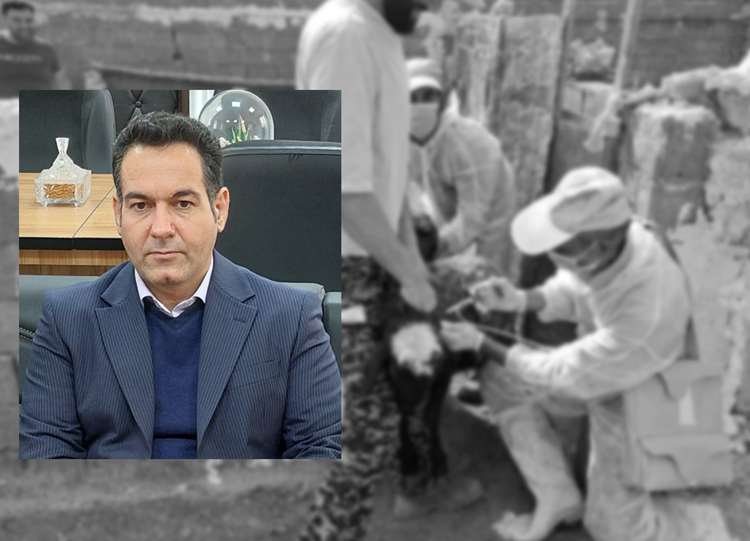 واکسیناسیون ۳ میلیون و 690 هزار نوبت سر دام در استان سمنان؛ تضمینی برای امنیت غذایی استان