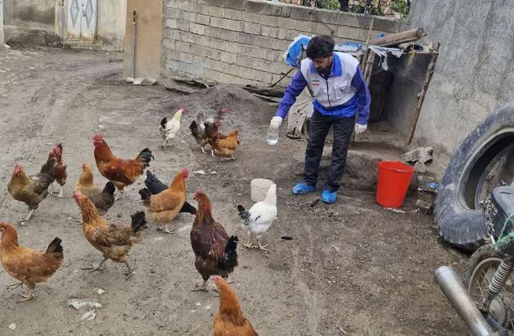 خدمت در صف اول؛ گشودن درهای خدمت و بال گشودن بالندگی روستایی