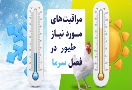 جهت دانلود کامل اینجا کلیک کنید